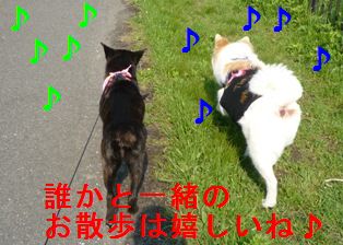 ちょっと元気に