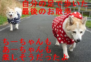 自分の足で
