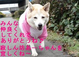 ありがとう