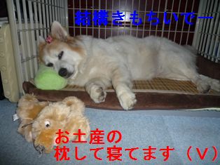 お土産