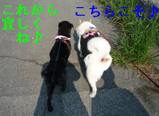仲良く