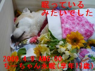 天国へ