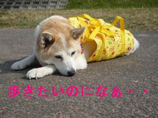 寂しい