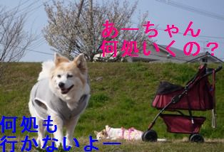 お散歩