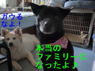 よろしく