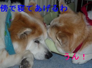 添い寝