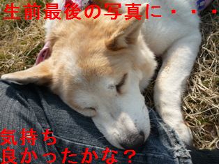 最後の写真