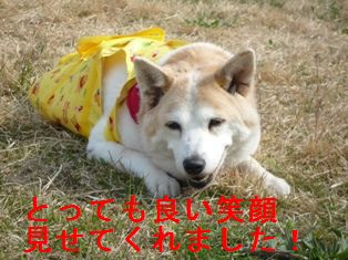 最後の笑顔