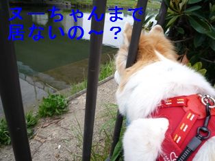 寂しいよね
