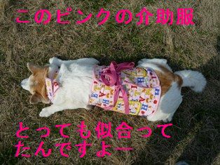 似合ってたよ