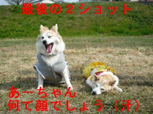 最後の2ショット