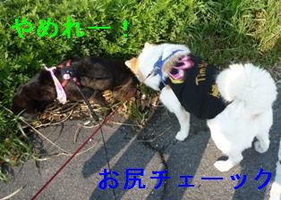 じー
