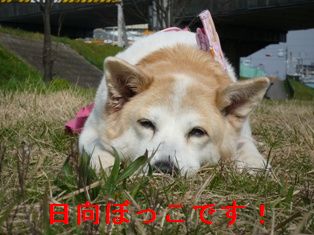 しんどい