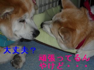大丈夫?