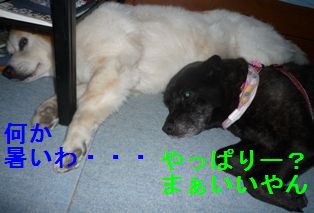ん?