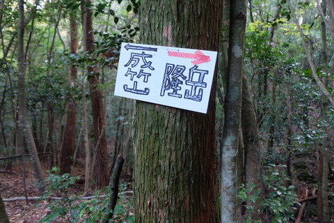 DSCF6432