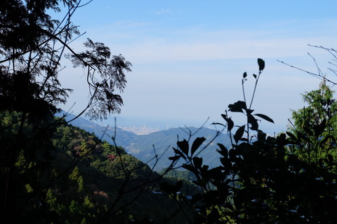 DSCF6429