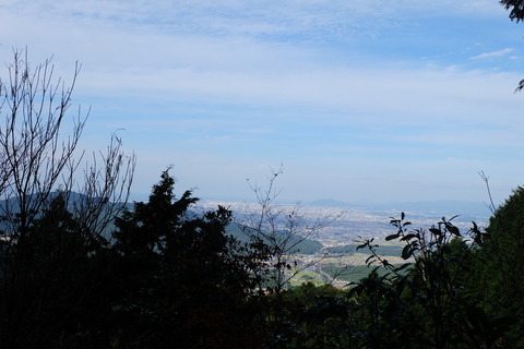 DSCF6418