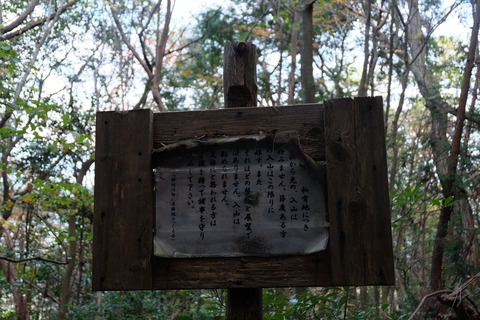 DSCF6421