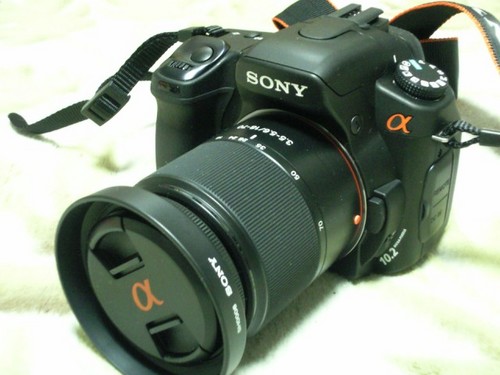 3883623e.jpg