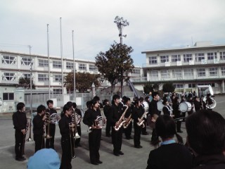6261c97c.jpg
