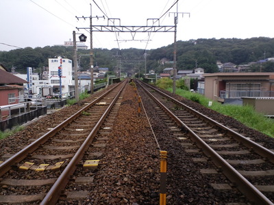 6c364ed5.jpg