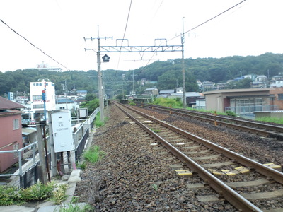 95a92de5.jpg