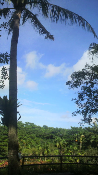 ac1ad789.jpg