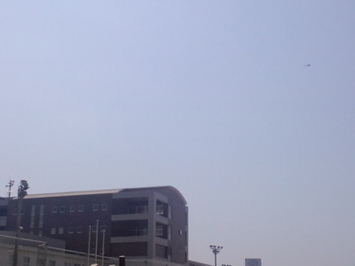 f0b5d537.jpg