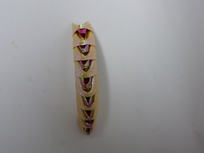 mini hakucyou 053