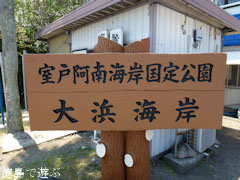 大浜海岸 2011