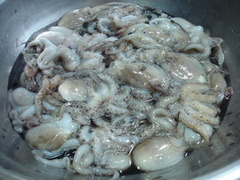 ���󡦥ĥ��ߡ������Ƥ��륤��������