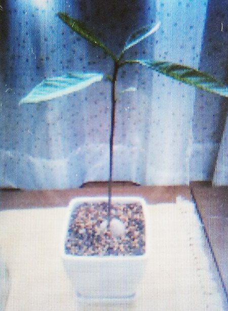 IMAG0793
