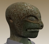 72fed5ad.jpg
