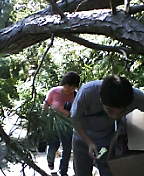 040831_1530~02.JPG