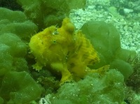 R0011477
