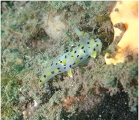 R0011486