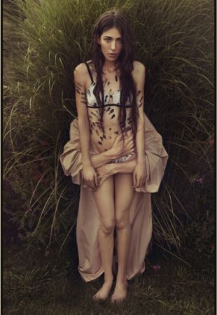 LakeStarsspring201110