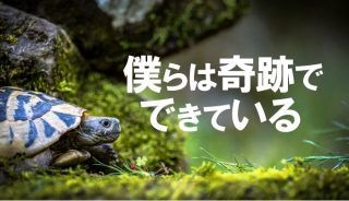 64136FF2-F22F-41BA-99CA-B25E18189C6D