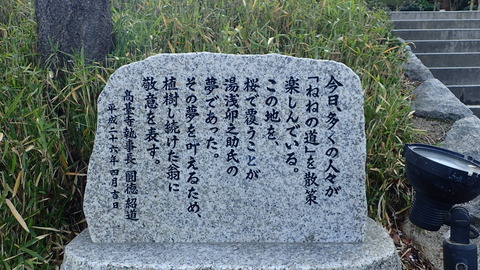 P4050067
