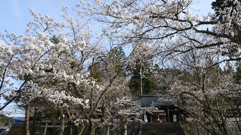 DSC02558