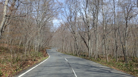 P4250026