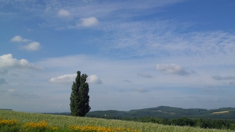 DCIM0494