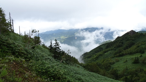 DSC00455