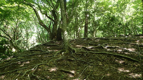 P5260097