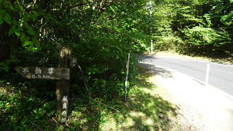 DSC00886