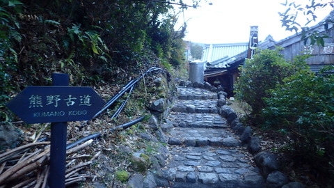 P2230223