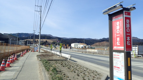 P3130052