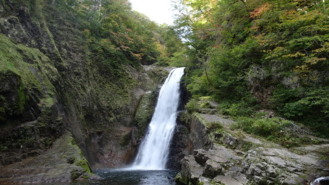 DSC00893