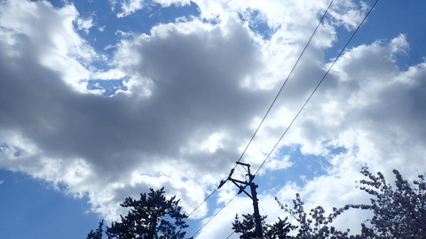 P4270216